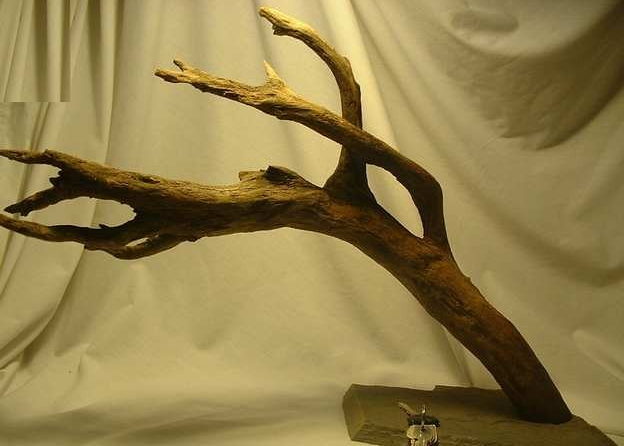 driftwood on a stand