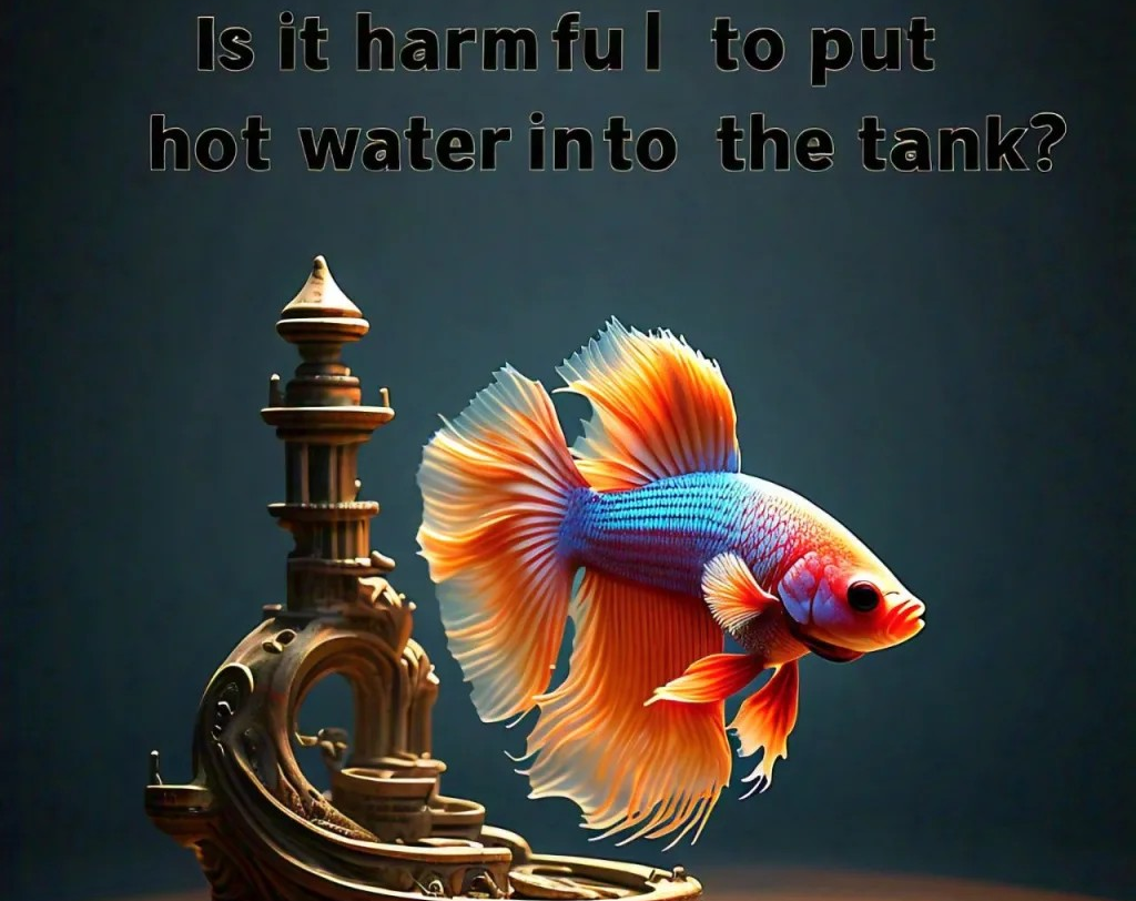 hot water put in tank